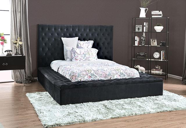 Davida (CM7897DG-CK-BED)