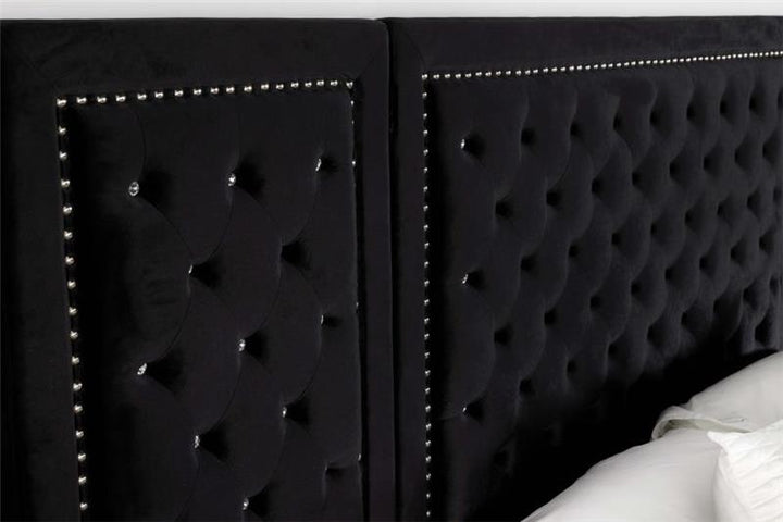 Hailey Tufted Upholstered Wall Bed Panel Black (315925P)