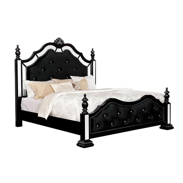 Azha (CM7194BK-CK-BED)