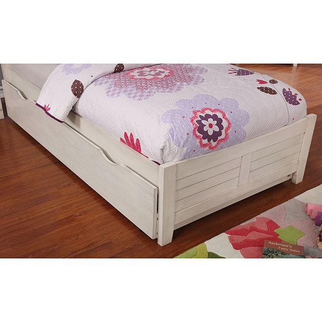 Brogan (CM7517WH-T-BED)