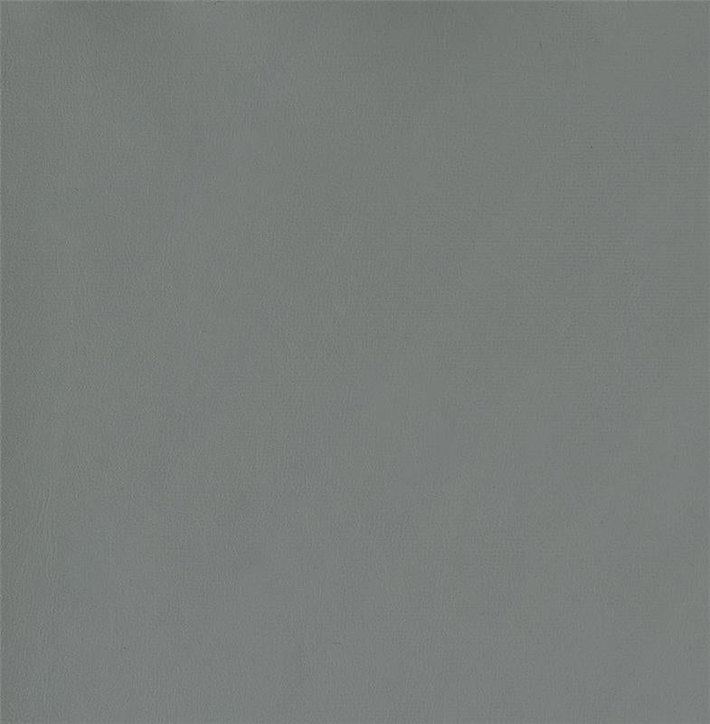 Thermosolis Acrylic Back Bar Stools Grey and Chrome (Set of 2) (183406)