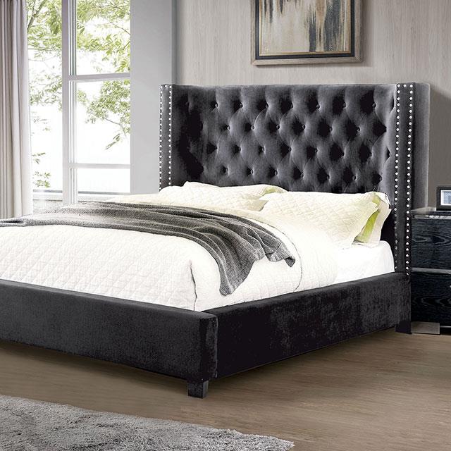 Cayla (CM7779DG-Q-BED)