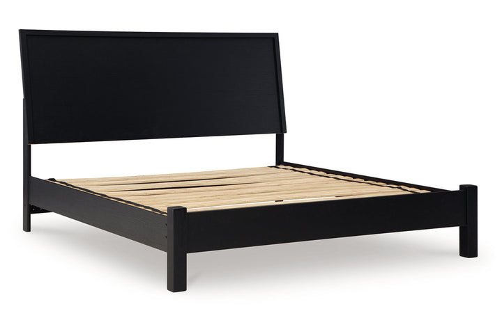 Danziar King Panel Bed (B1013B10)