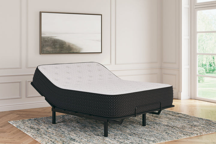 Limited Edition Plush Twin Mattress (M41111)