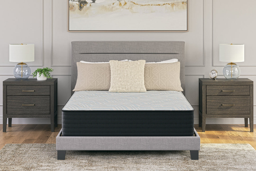 Palisades Firm Queen Mattress (M41531)