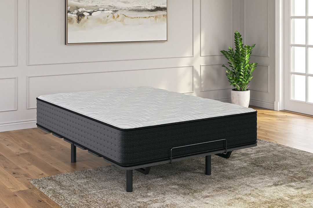 Palisades Firm Queen Mattress (M41531)