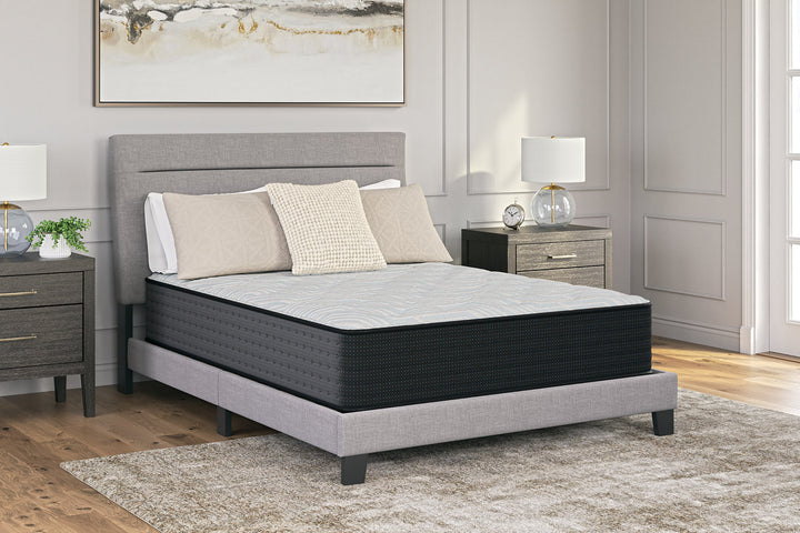 Palisades Firm Queen Mattress (M41531)