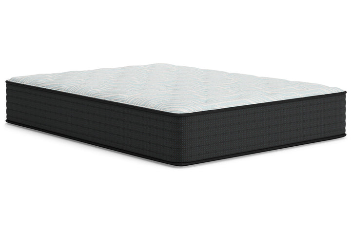 Palisades Plush Full Mattress (M41621)