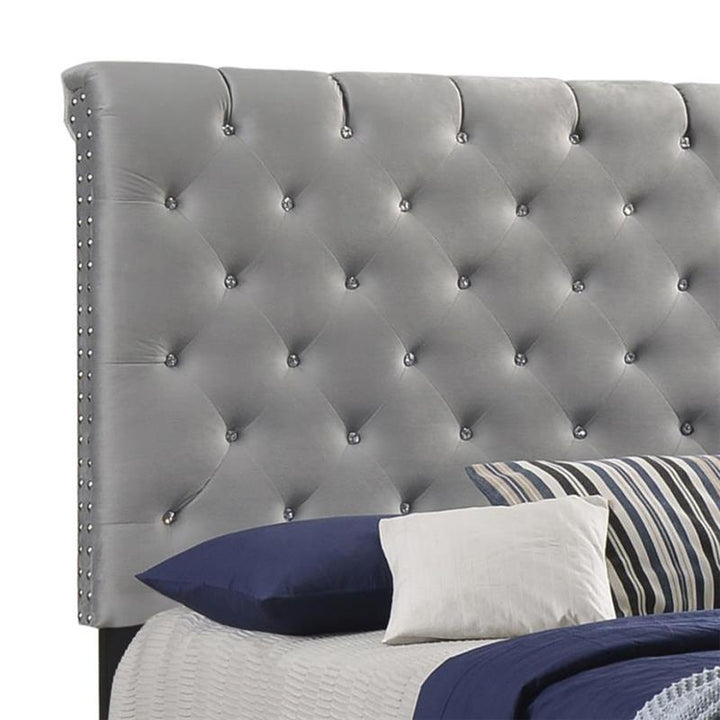 Warner Queen Upholstered Bed Grey (310042Q)