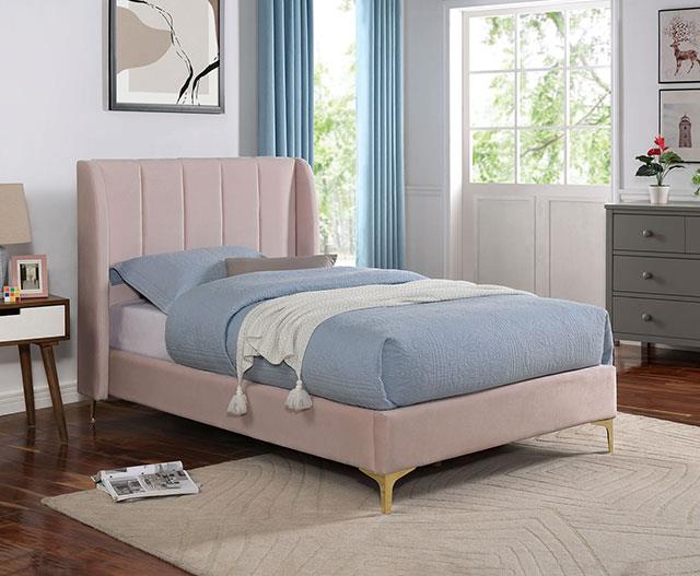 Pearl (CM7459PK-T-BED)